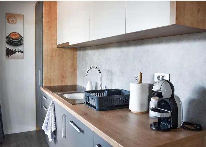 Luxury Mobile Ines Lejlighed *